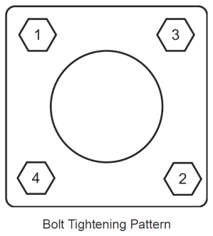 back_check_valve_2