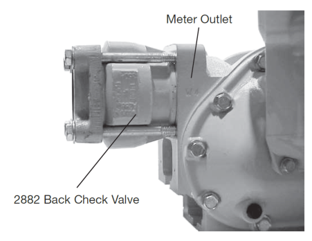 back_check_valve_3